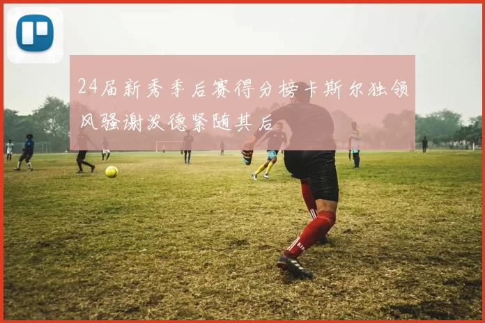 24届新秀季后赛得分榜卡斯尔独领风骚谢泼德紧随其后